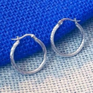 Surgical Stainless Steel Twisted Hoop Earrings